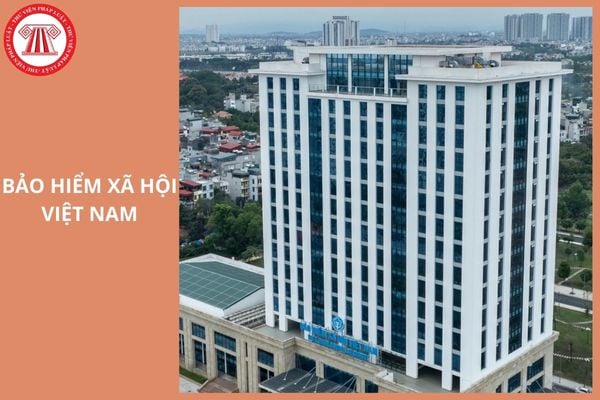 Hỏi đáp Pháp luật
