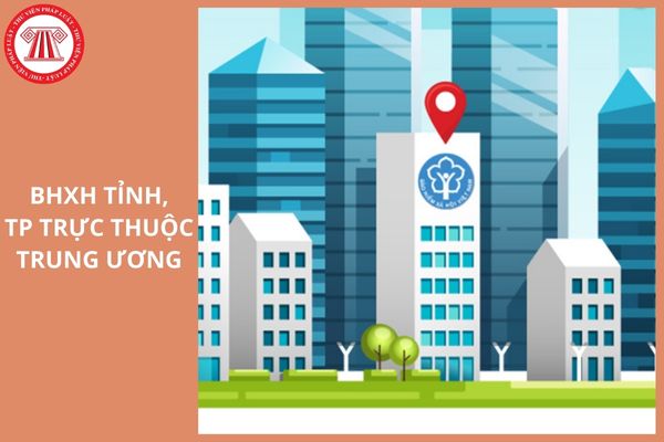 Hỏi đáp Pháp luật