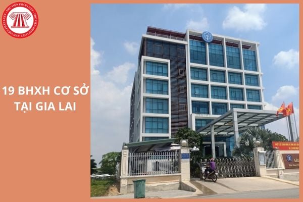 Danh sách 19 BHXH cơ sở tại Gia Lai từ 01/10/2025 có địa chỉ và địa bàn quản lý như thế nào?