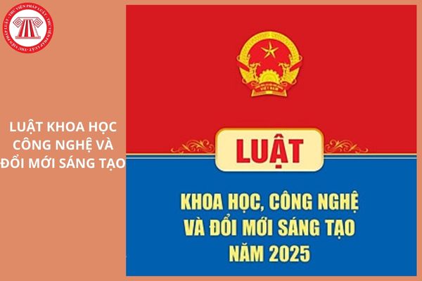 Hỏi đáp Pháp luật