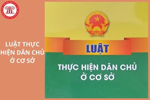 Hỏi đáp Pháp luật