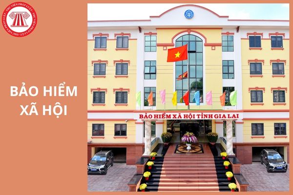 Hỏi đáp Pháp luật