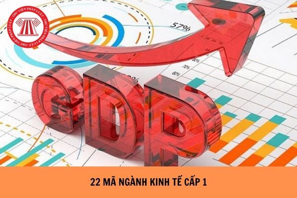 Tra cứu 22 mã ngành kinh tế cấp 1 mới nhất từ ngày 15/11/1025 như thế nào?