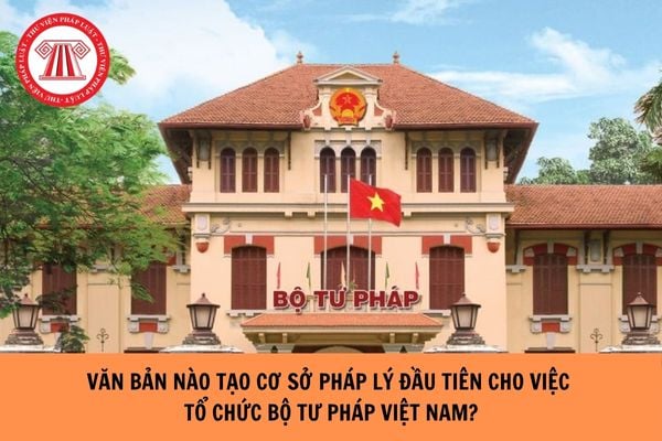 Hỏi đáp Pháp luật