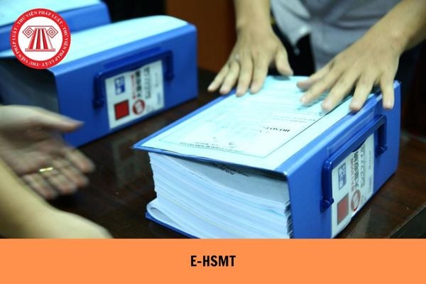 Hỏi đáp Pháp luật