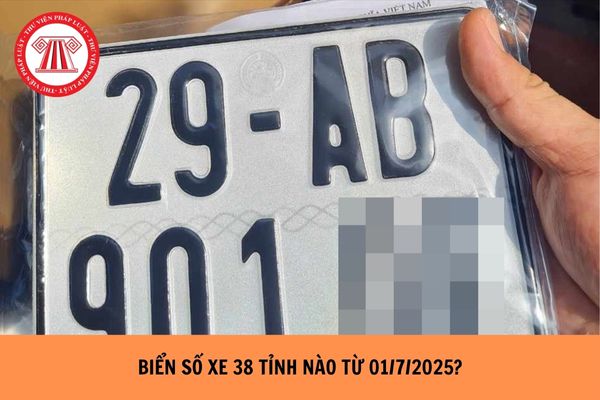 Hỏi đáp Pháp luật