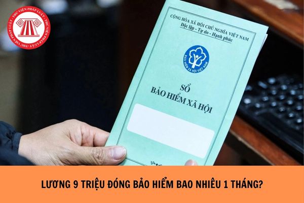 Hỏi đáp Pháp luật