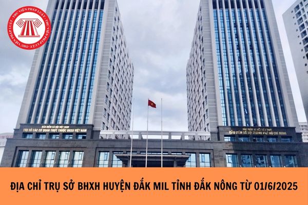 Hỏi đáp Pháp luật