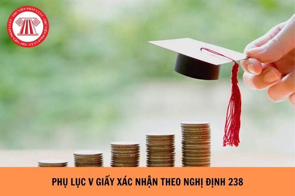 Phụ lục V Giấy xác nhận theo Nghị định 238 như thế nào?
