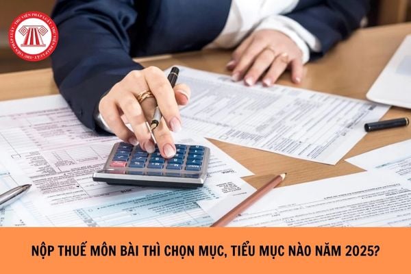 Nộp thuế môn bài chọn mục nào, tiểu mục nào 2025? 