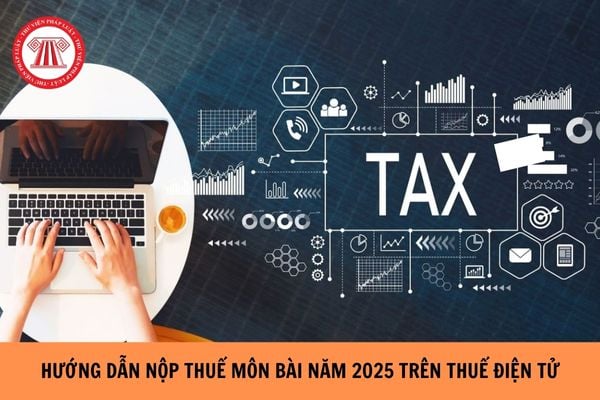 Hướng dẫn nộp thuế môn bài năm 2025 trên thuế điện tử chi tiết?