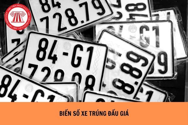 Hỏi đáp Pháp luật