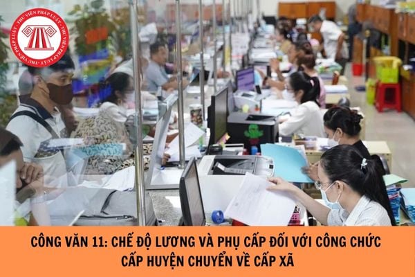 Hỏi đáp Pháp luật