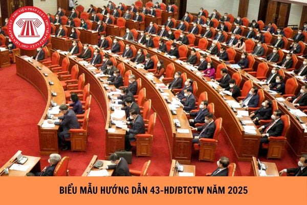 TOÀN BỘ Biểu mẫu Hướng dẫn 43-H D/BTCTW 2025 kiểm điểm, đánh giá xếp loại chất lượng đảng viên thế nào?