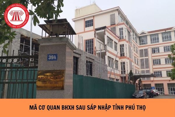 Hỏi đáp Pháp luật