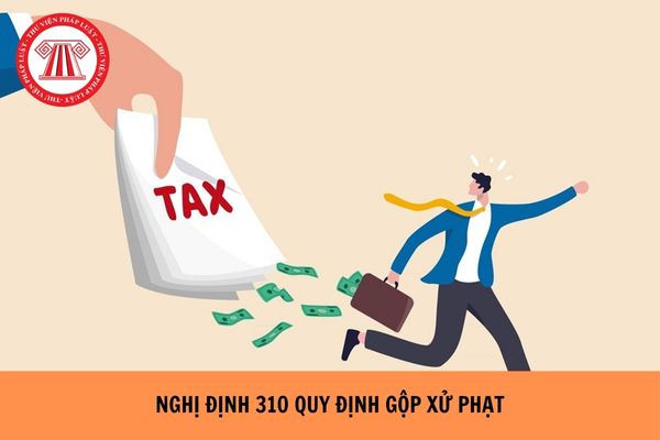Hỏi đáp Pháp luật