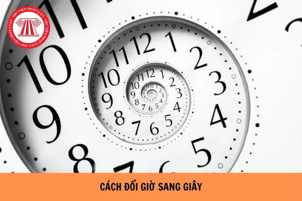 Hỏi đáp Pháp luật