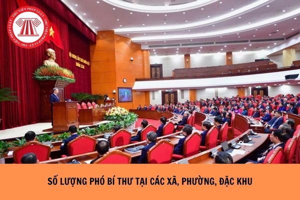 Hỏi đáp Pháp luật