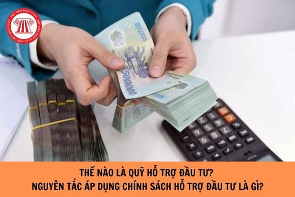 Thế nào là Quỹ Hỗ trợ đầu tư? Nguyên tắc áp dụng chính sách hỗ trợ đầu tư là gì?