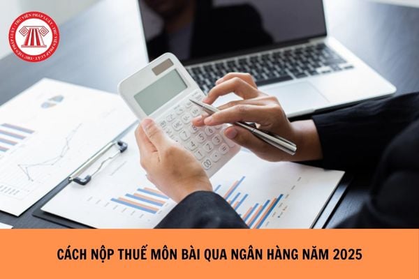 Cách nộp thuế môn bài qua ngân hàng năm 2025 như thế nào?