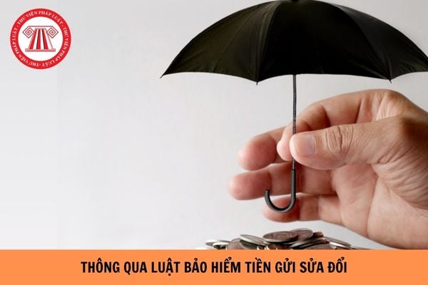Hỏi đáp Pháp luật