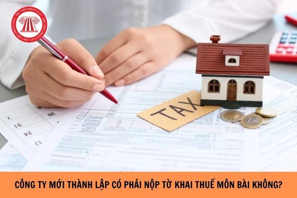 Công ty mới thành lập có phải nộp tờ khai thuế môn bài không?