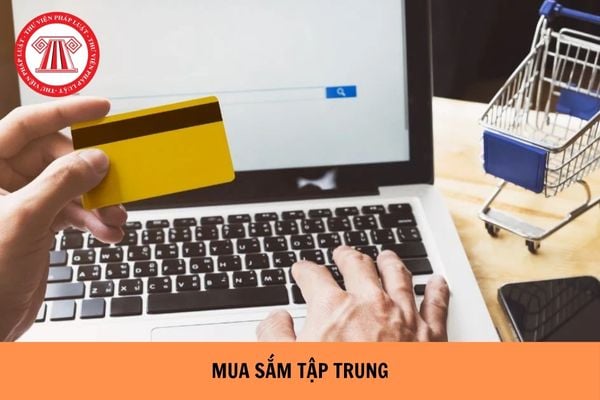 Mua sắm tập trung cấp địa phương sau sáp nhập tỉnh theo Nghị định 214 ra sao?