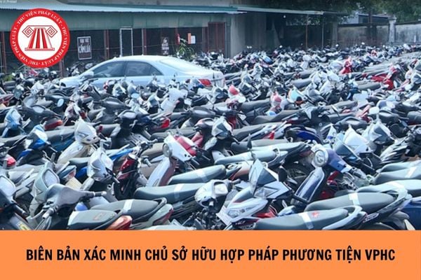 Hỏi đáp Pháp luật