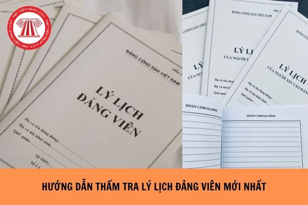 Hỏi đáp Pháp luật