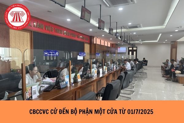 Hỏi đáp Pháp luật
