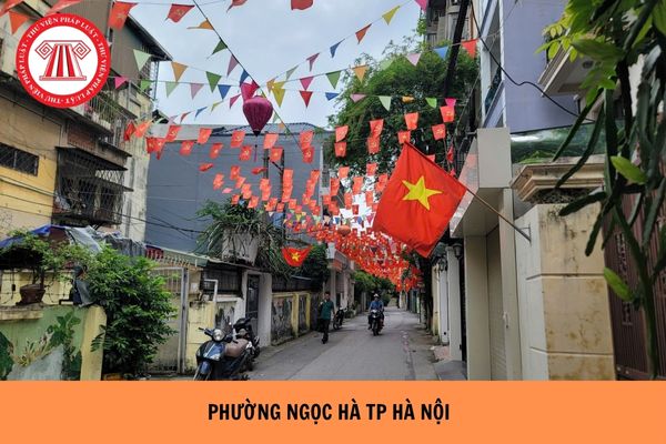 Hỏi đáp Pháp luật