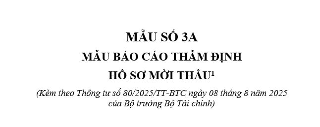 Mẫu số 3A Mẫu báo cáo thẩm định hồ sơ mời thầu