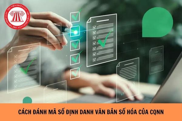 Hỏi đáp Pháp luật
