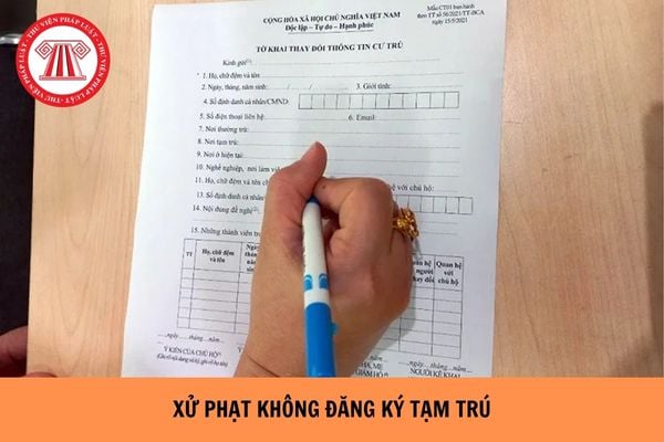Hỏi đáp Pháp luật