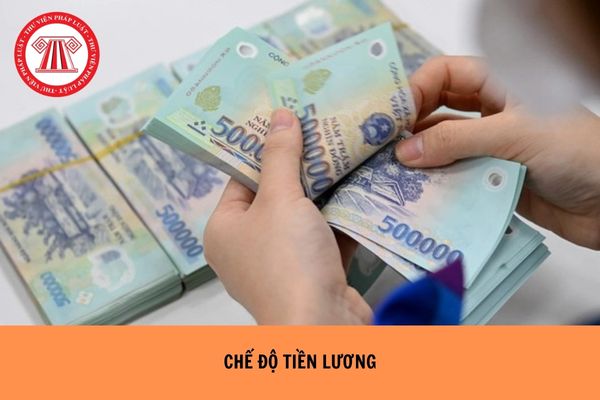 Hỏi đáp Pháp luật