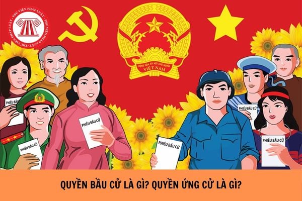 Quyền bầu cử là gì? Quyền ứng cử là gì?
