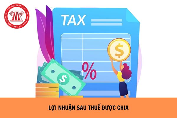 Công văn 3659/QNG-QLDN2 2025 chính sách thuế đối với khoản lợi nhuận sau thuế được chia của Văn phòng công chứng ra sao?