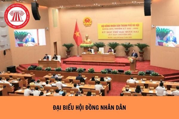Hỏi đáp Pháp luật