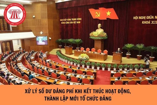 Hỏi đáp Pháp luật