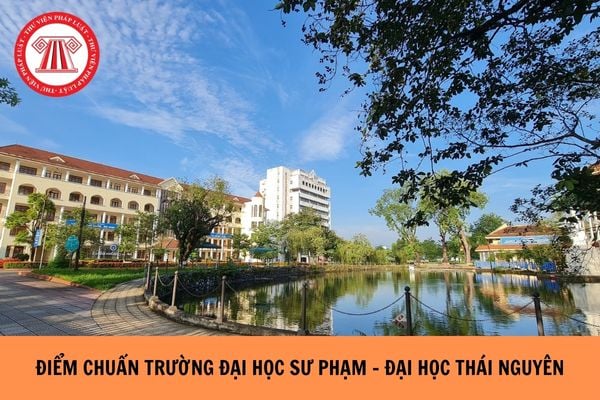 ĐIỂM CHUẨN Trường Đại học Sư phạm - Đại học Thái Nguyên 2025 ra sao?