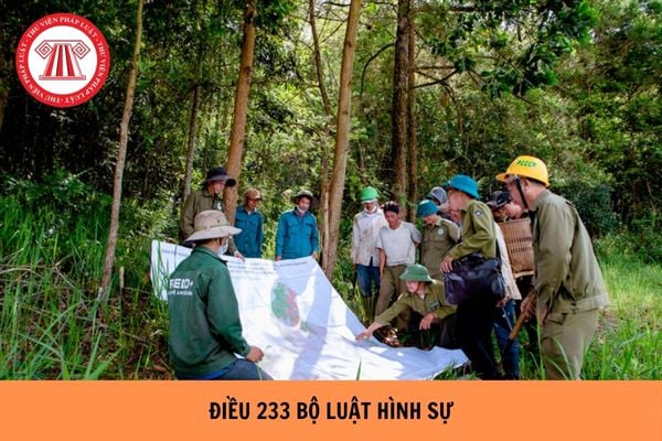 Hỏi đáp Pháp luật