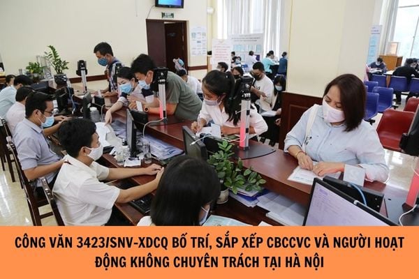 Hỏi đáp Pháp luật