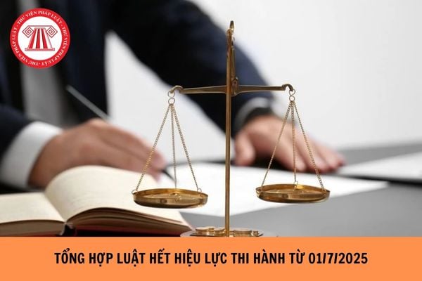 Hỏi đáp Pháp luật