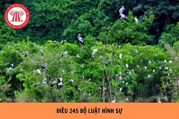 Hỏi đáp Pháp luật