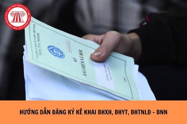 Hỏi đáp Pháp luật