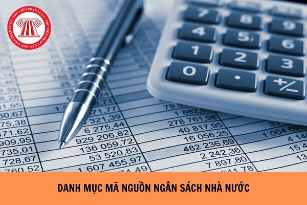 Danh mục mã nguồn ngân sách nhà nước mới nhất 2025 như thế nào?