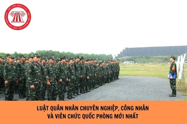 Hỏi đáp Pháp luật