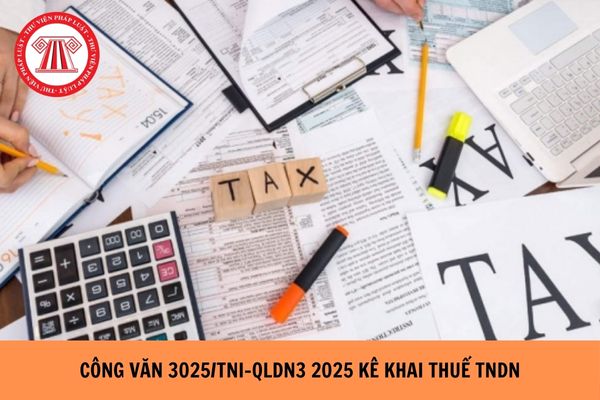Công văn 3025/TNI-QLDN3 2025 kê khai nộp thuế TNDN từ thu phí thi tuyển dụng viên chức thế nào?