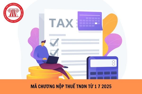 Mã chương nộp thuế TNDN từ 1 7 2025 ra sao?