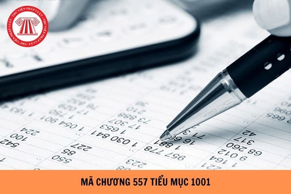 Mã chương 557 tiểu mục 1001 theo Thông tư 324 là gì?